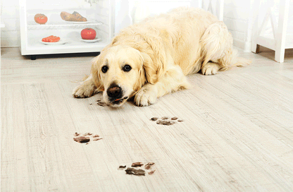C30B Robot Vacuum Cleaner
