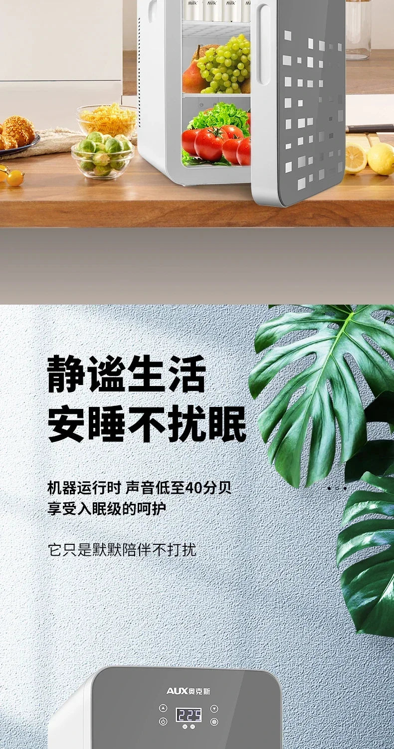 Refrigerator - Car & Home Dual-Use.